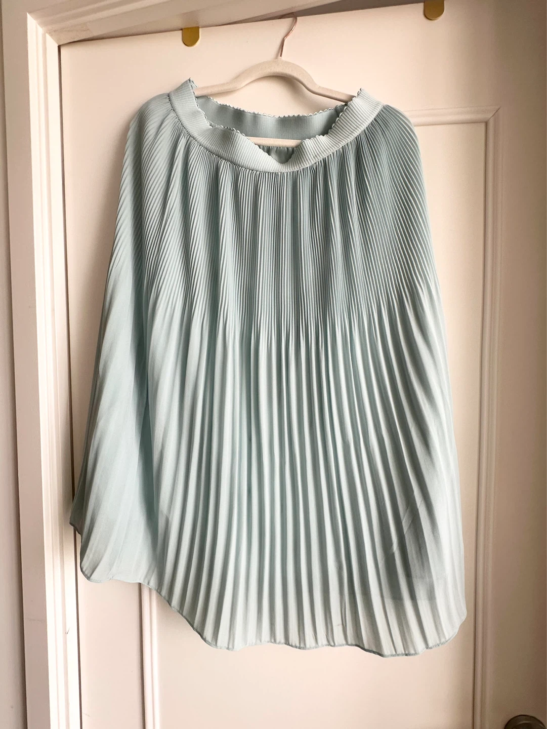 Naked Zebra Pleated Skirt - Mint Green - Size M