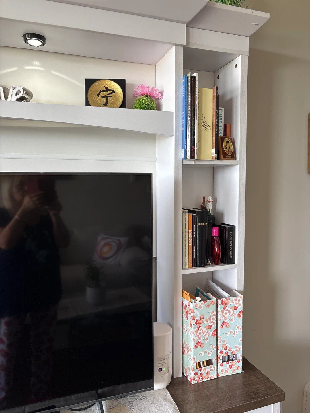 Entertainment unit