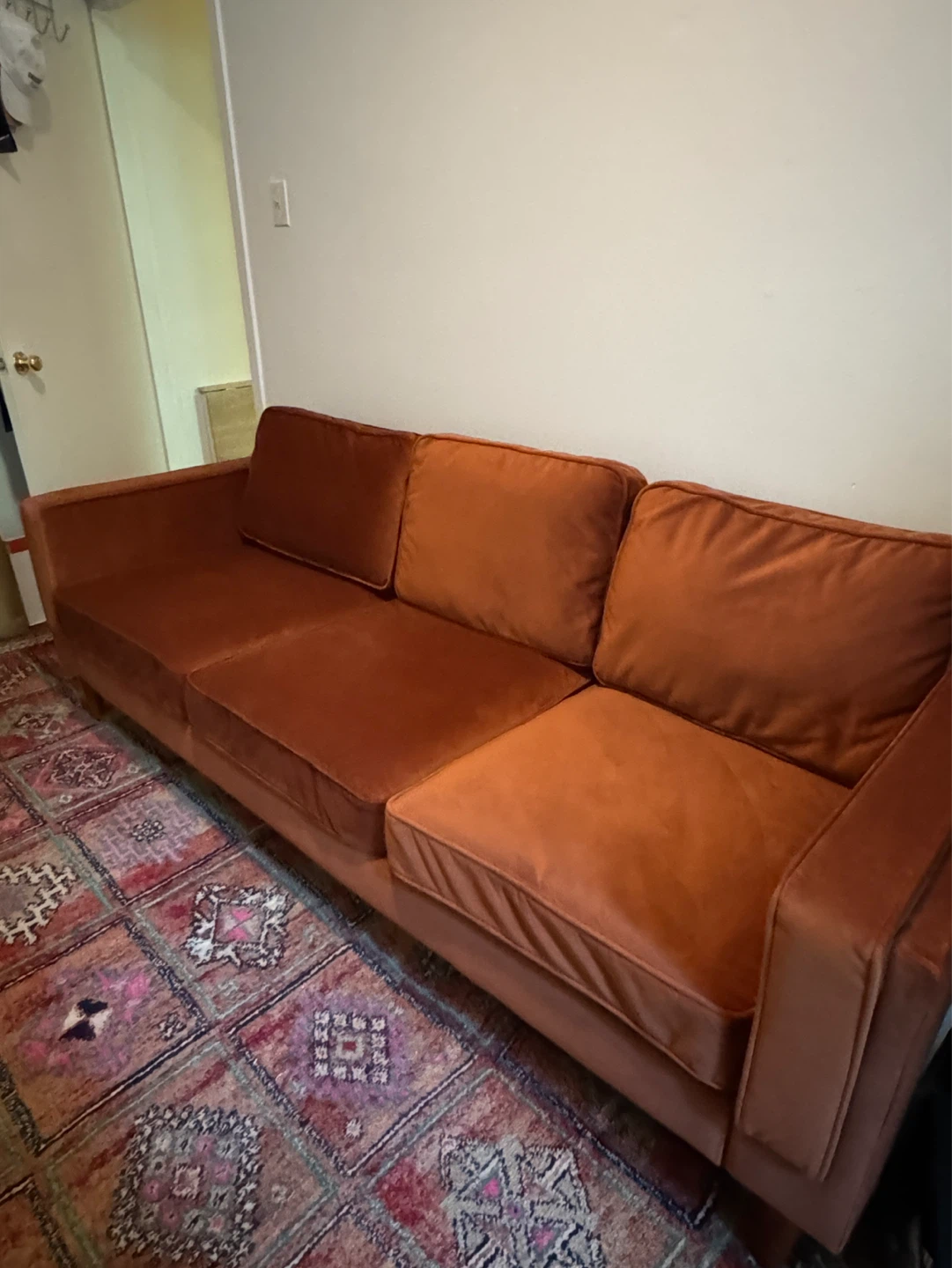 Velvet couch