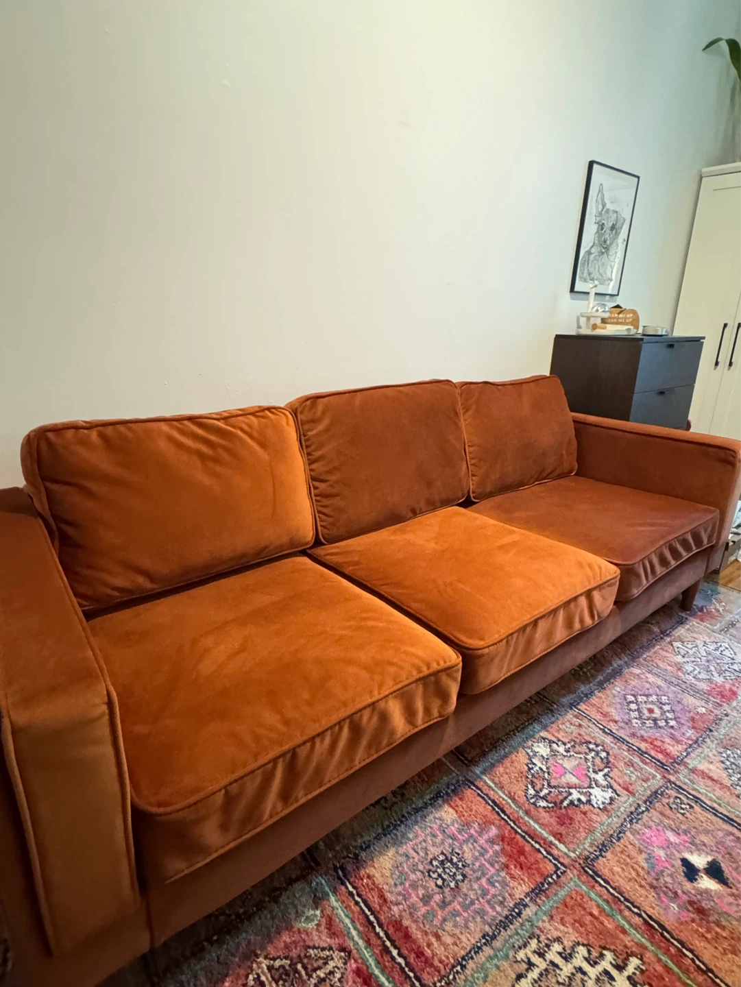 Velvet couch - photo 3