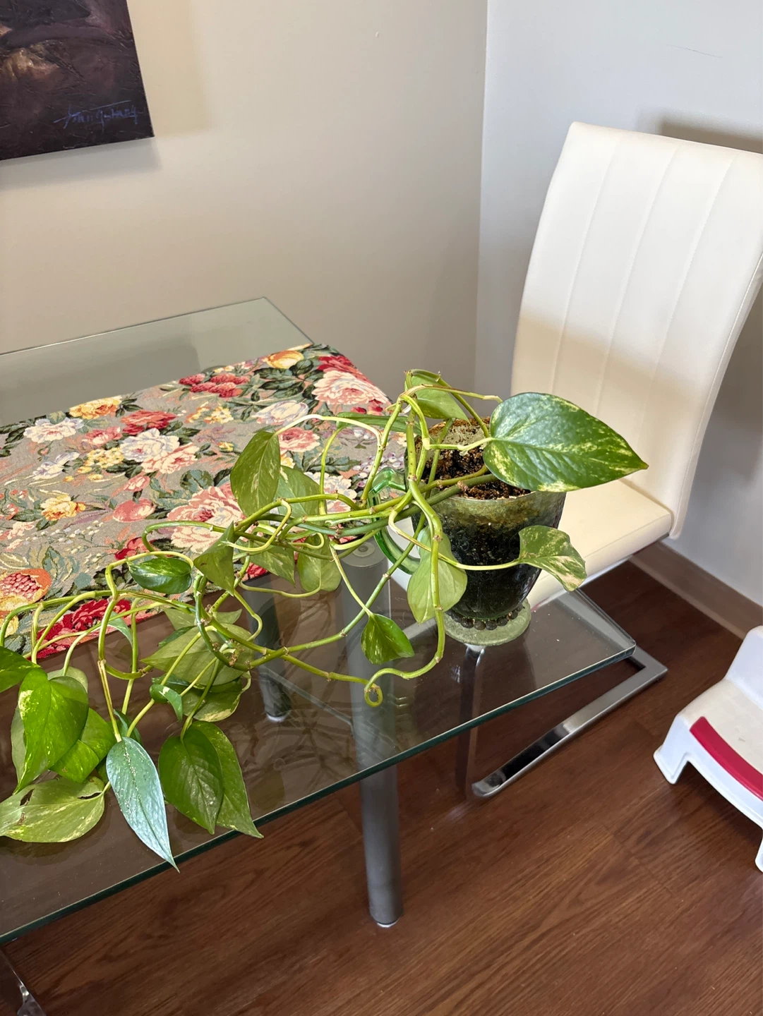 Plant