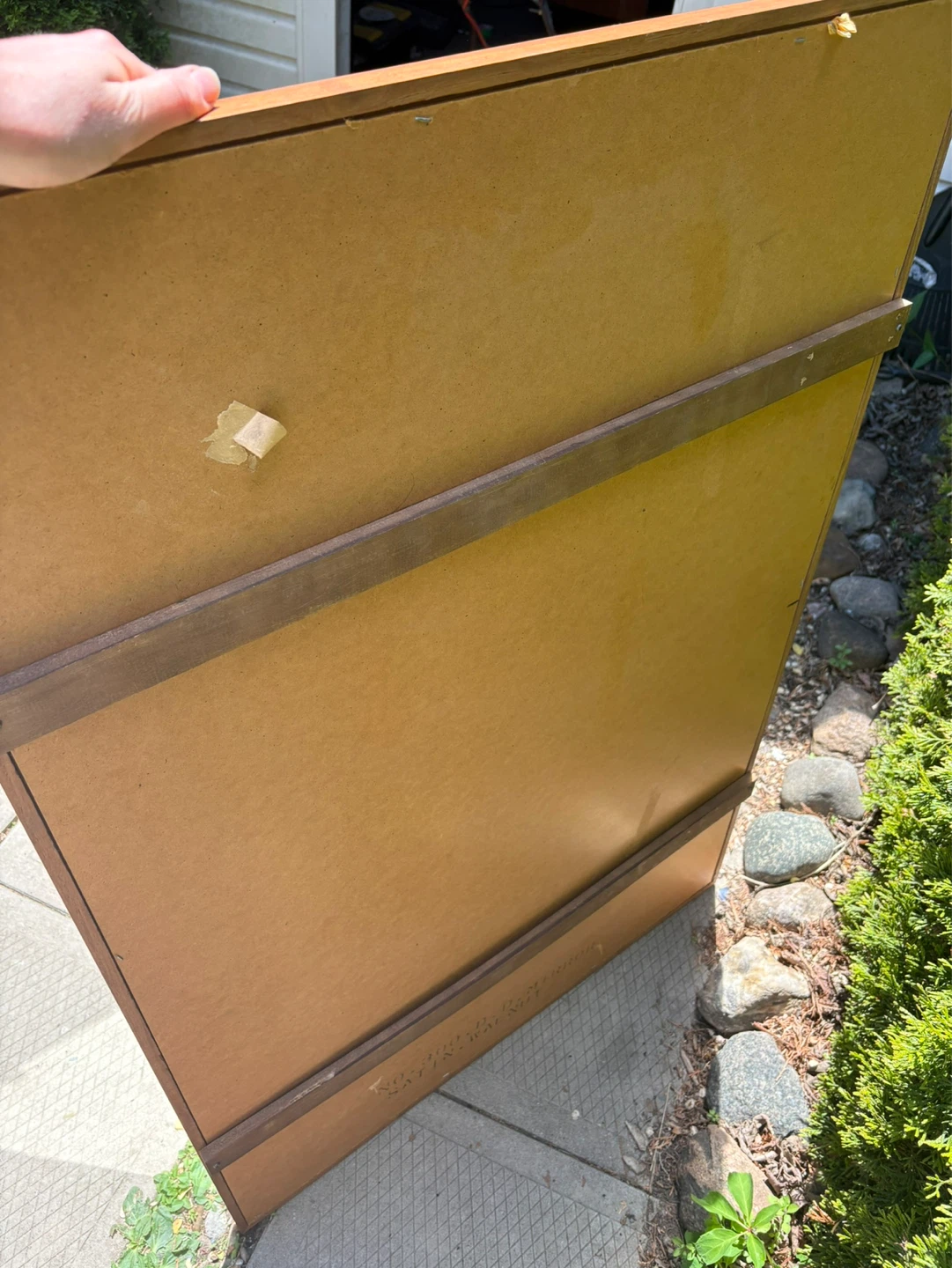 MCM Walnut Mirror - photo 4