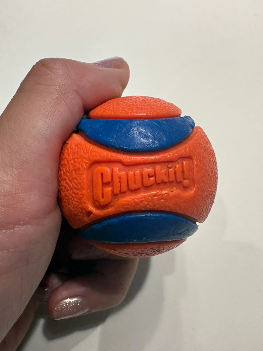Chuckit! Orange & Blue Dog Toy Ball