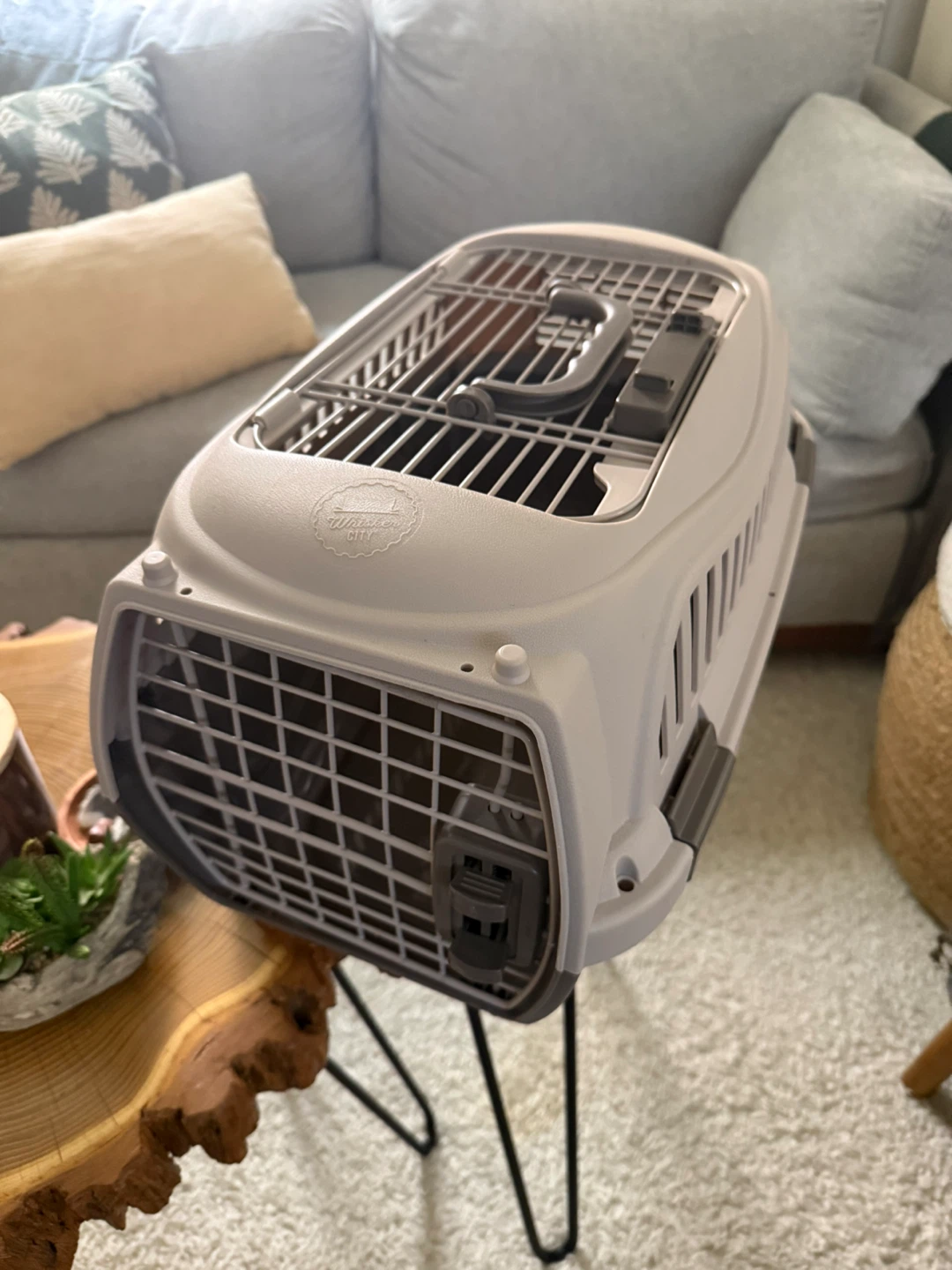 Pet Carrier