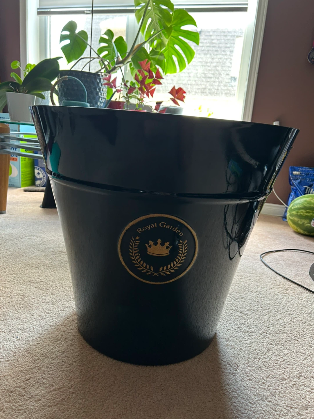 Royal Garden Large Planter Pot - photo 3