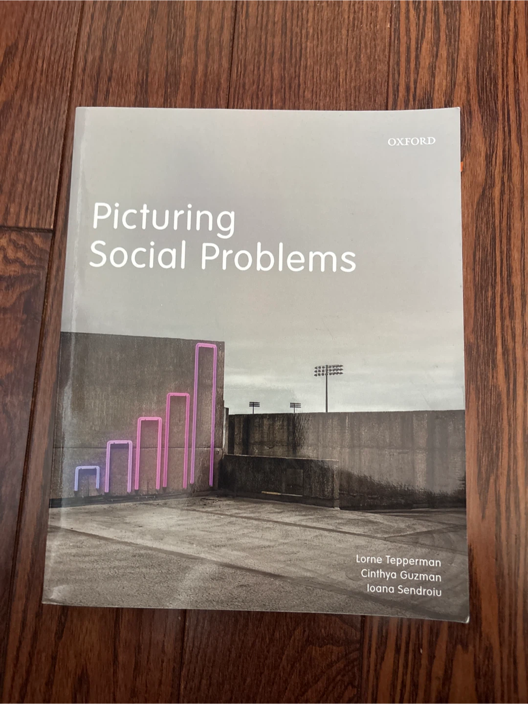 Picturing Social Problems Textbook