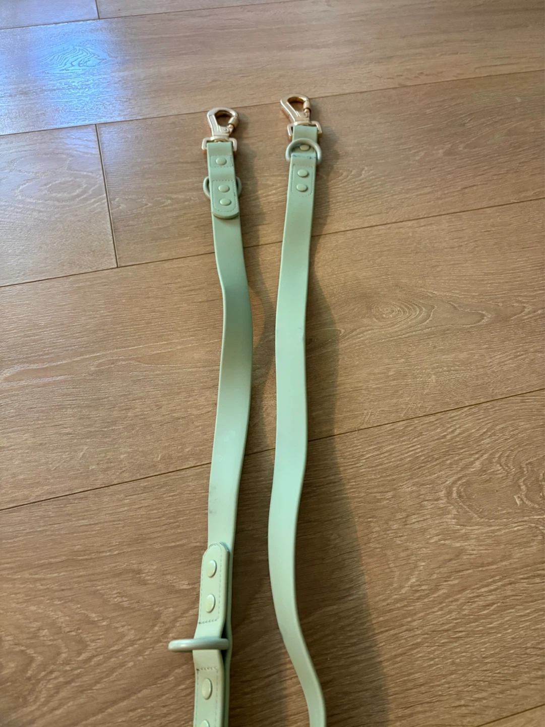 Light Green Dog Leash with Gold Clasps