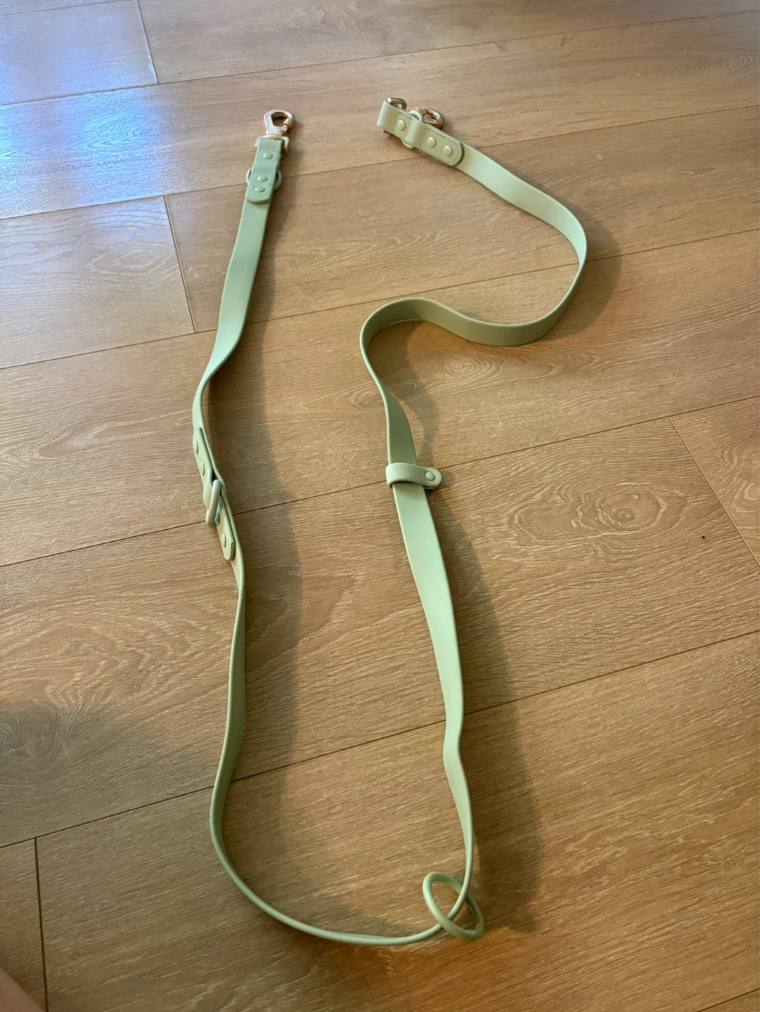 Light Green Dog Leash with Gold Clasps - photo 2