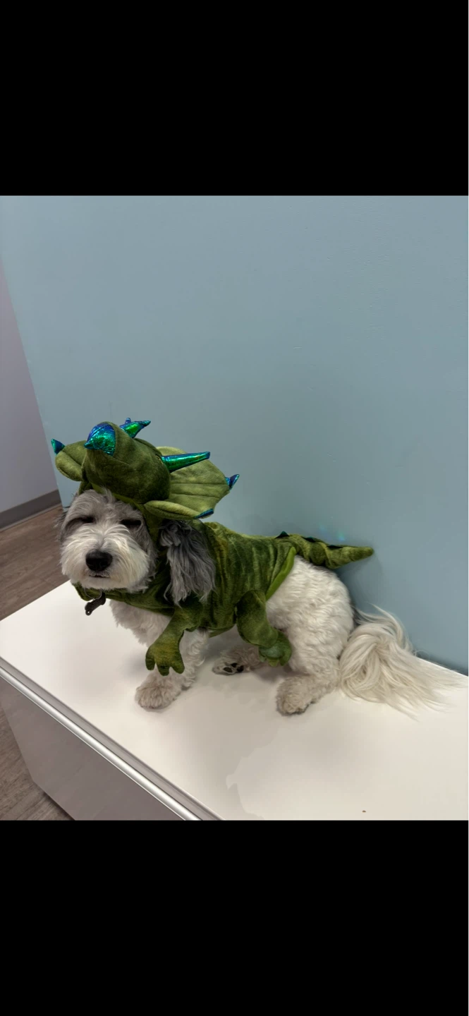 Dog Dinosaur Costume - photo 3