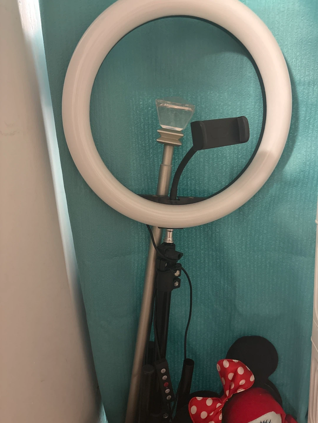 Ring Light with Phone Holder