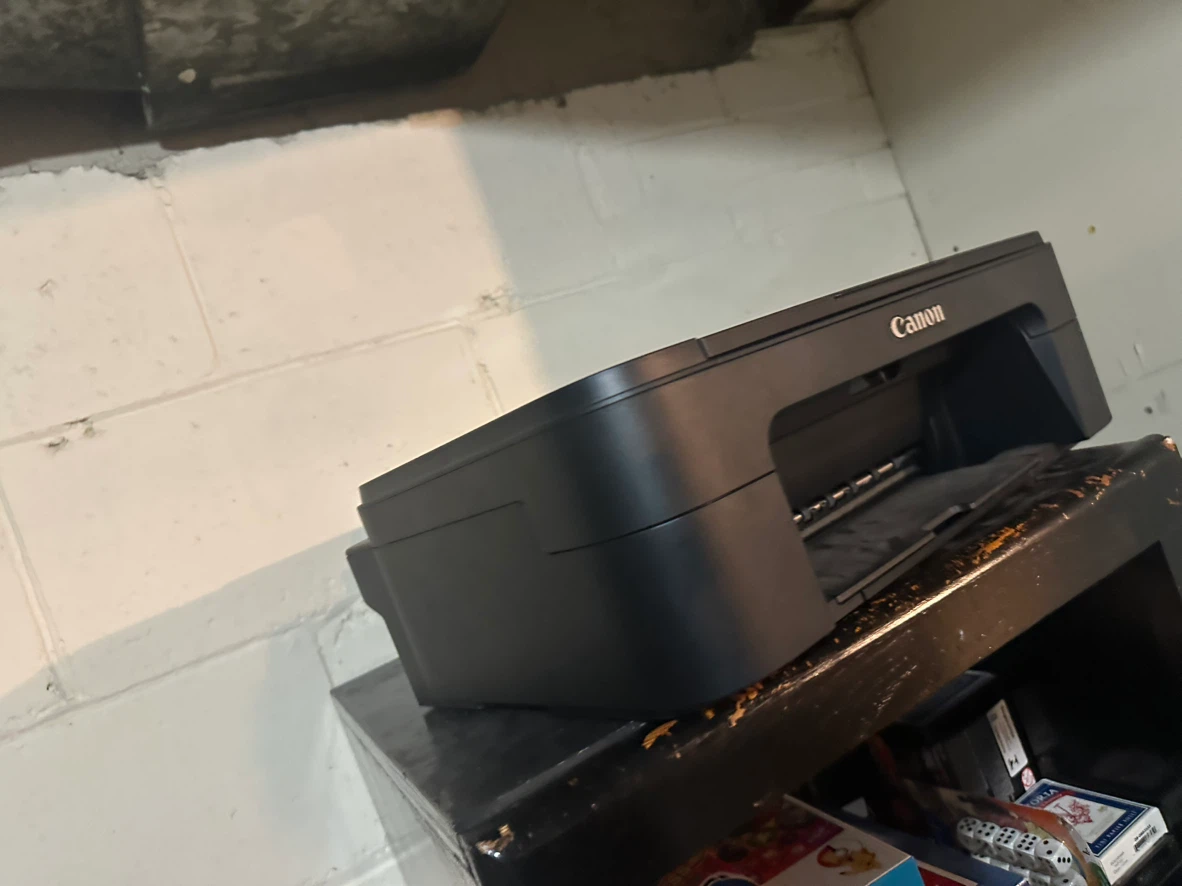 Canon All-in-One Printer - photo 4