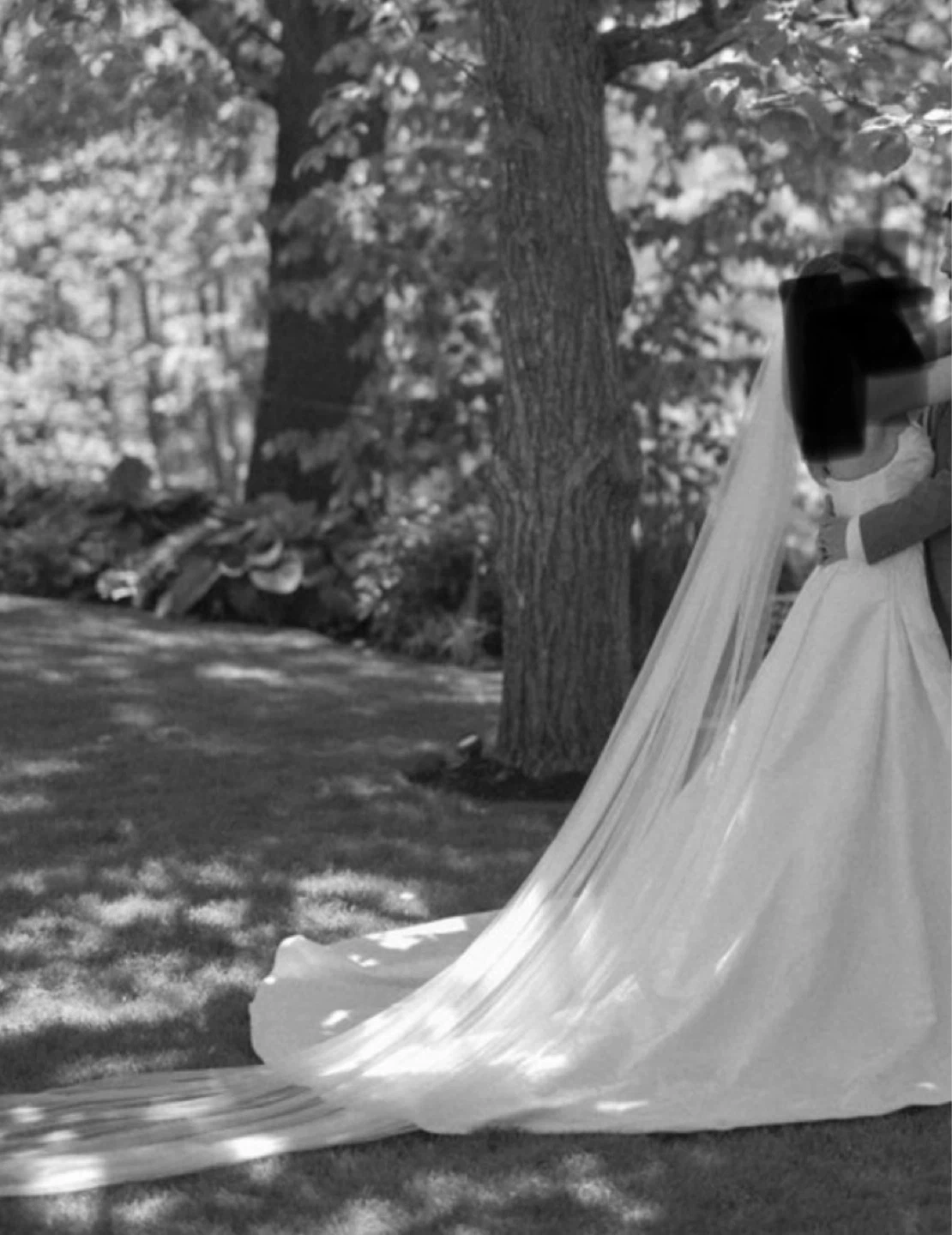 Wedding Veil