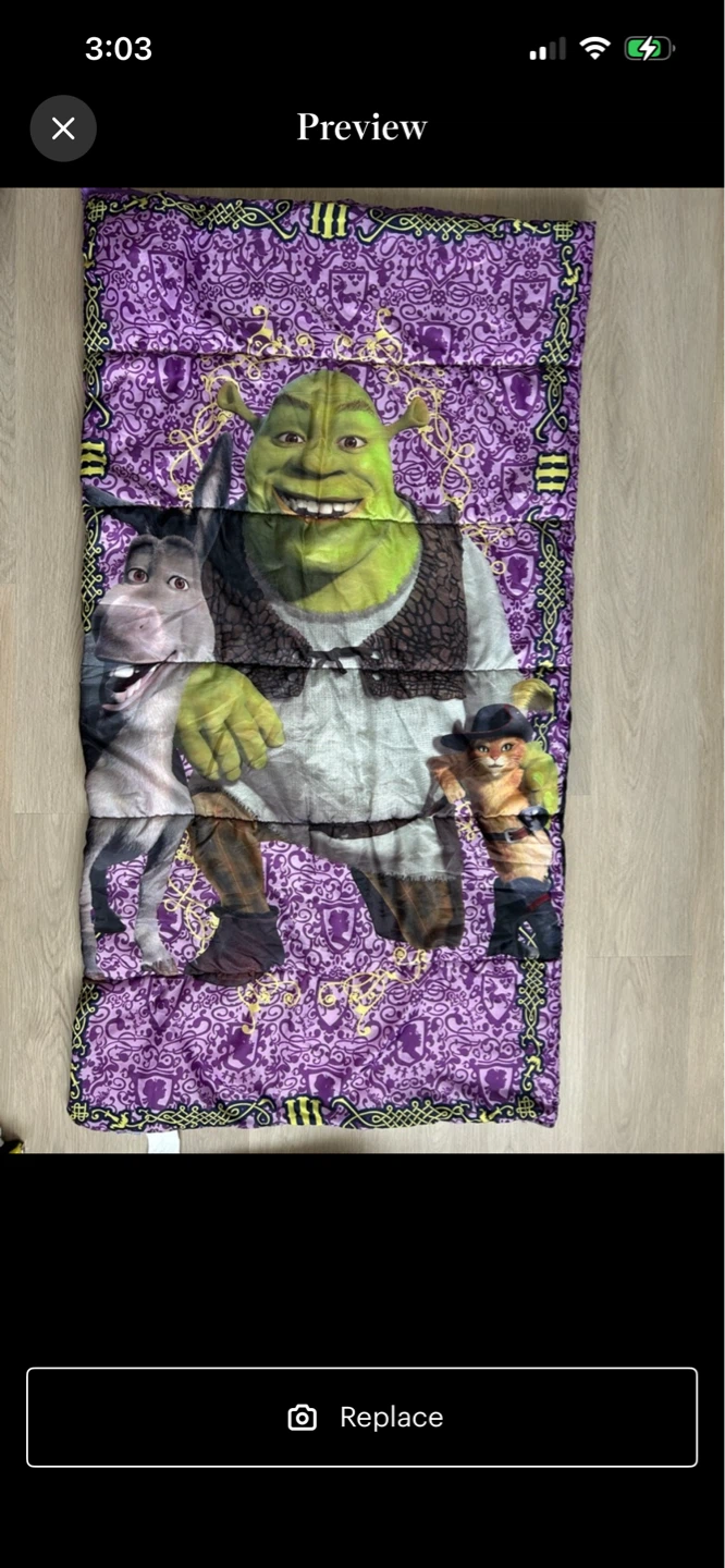 Shrek the Third Sleeping Bag