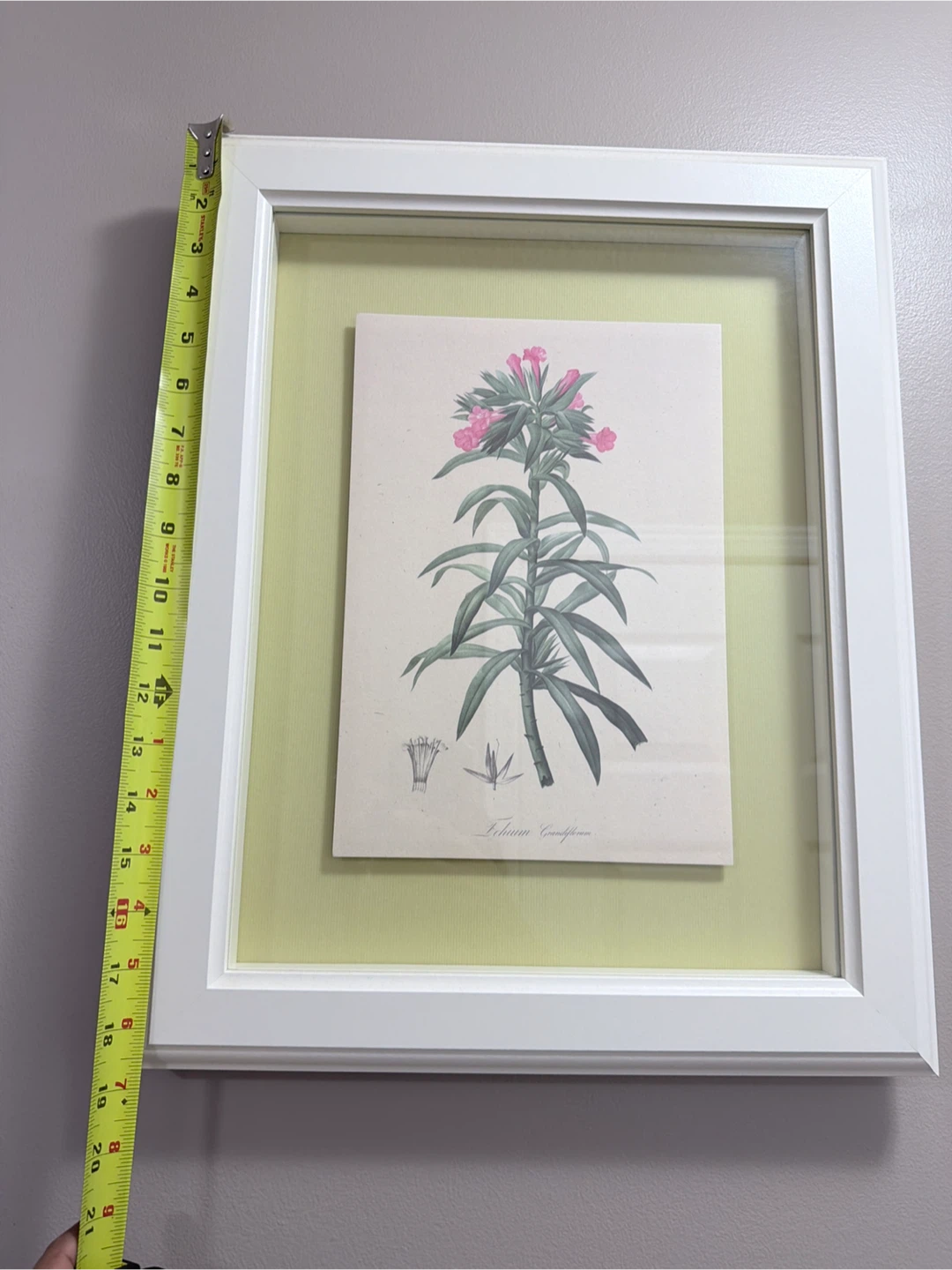 Framed Botanical Print - photo 2