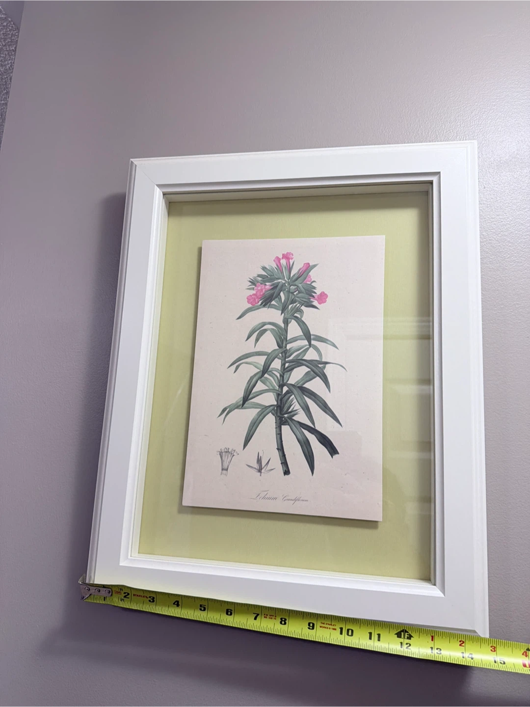 Framed Botanical Print - photo 3