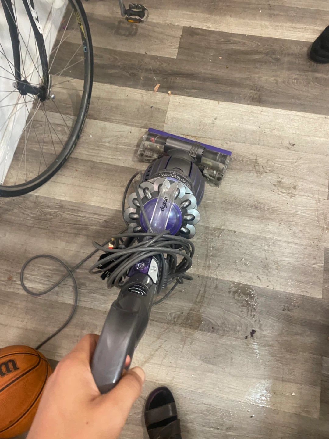 Dyson Ball Animal 2 Vacuum Cleaner - photo 4