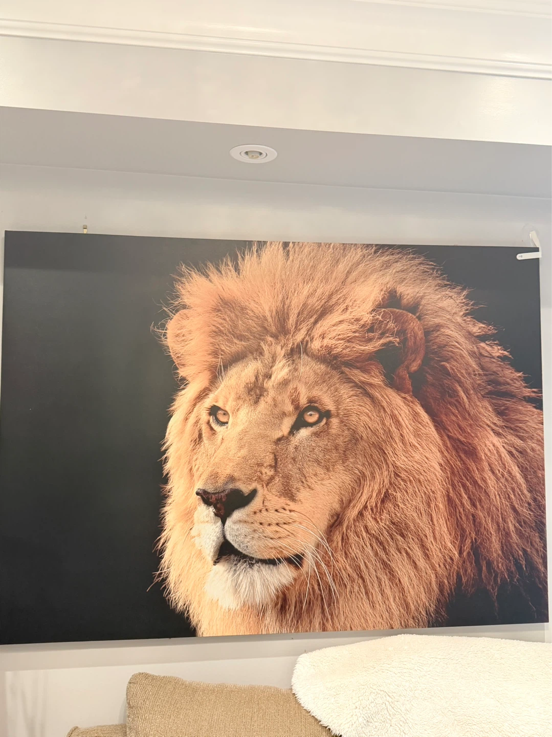 Large Lion Canvas Wall Art
