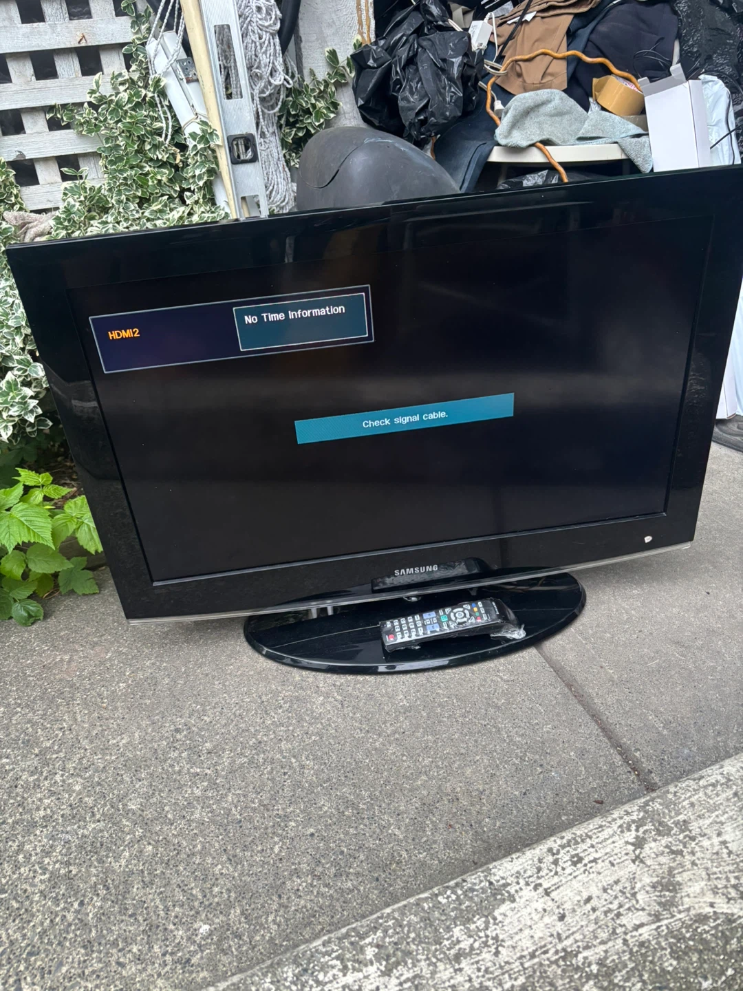 TV