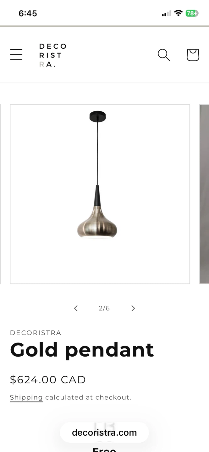 DECORISTRA Gold pendant light fixture