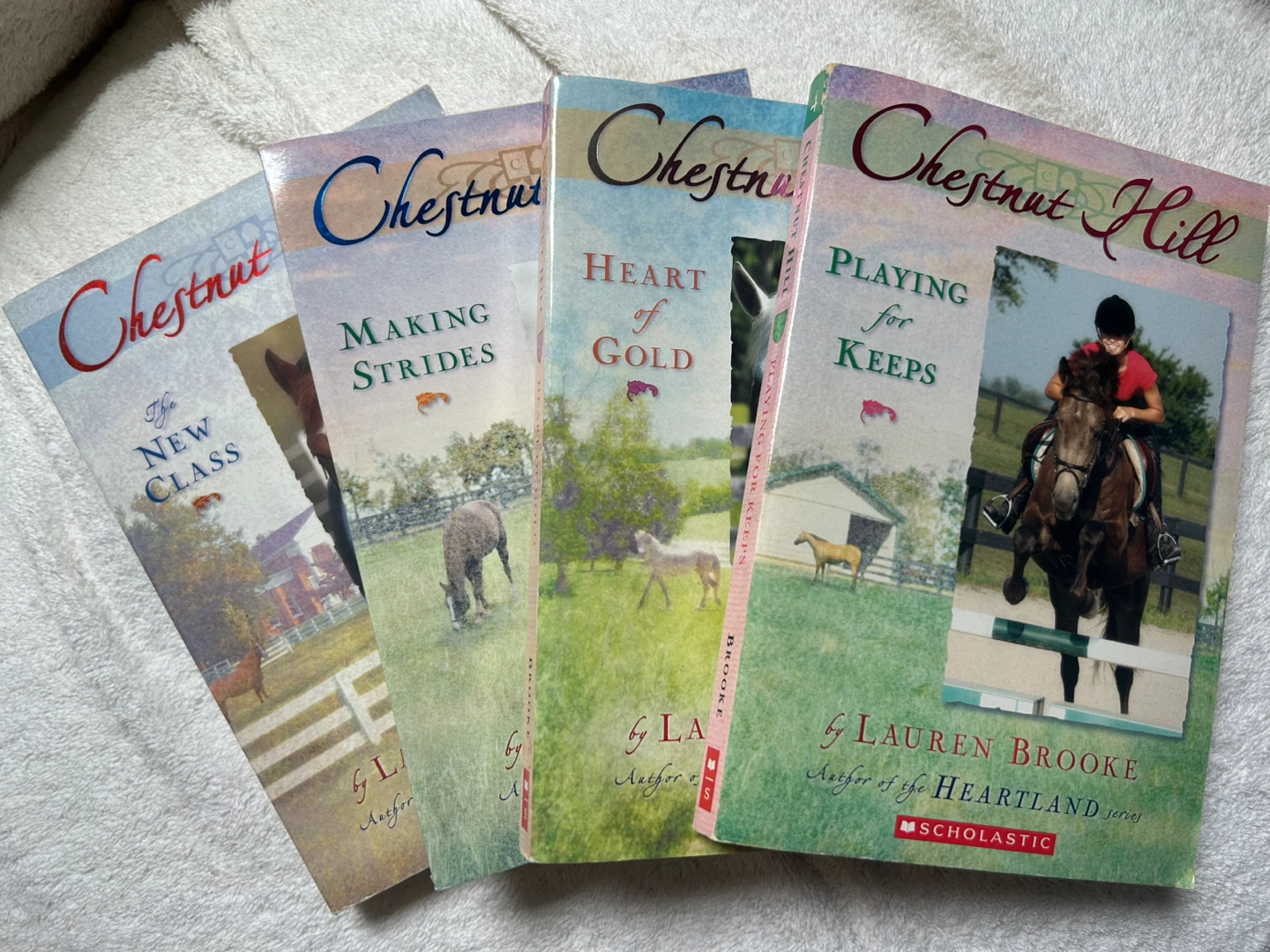 Chestnut Hills book series 1-4