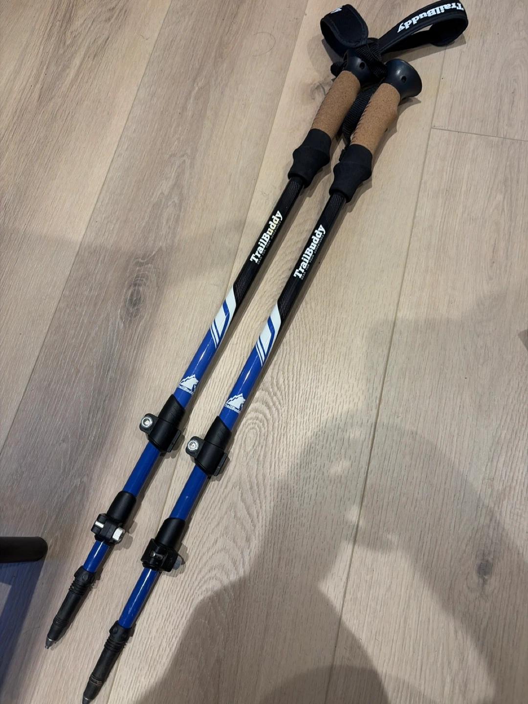 TrailBuddy Trekking Poles
