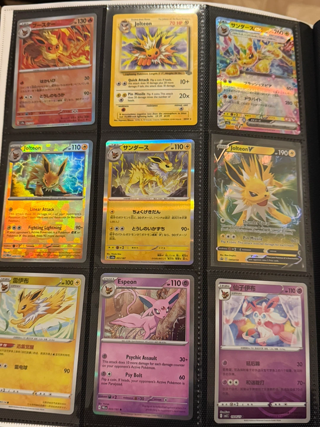 Pokemon Evolution Binder - photo 2
