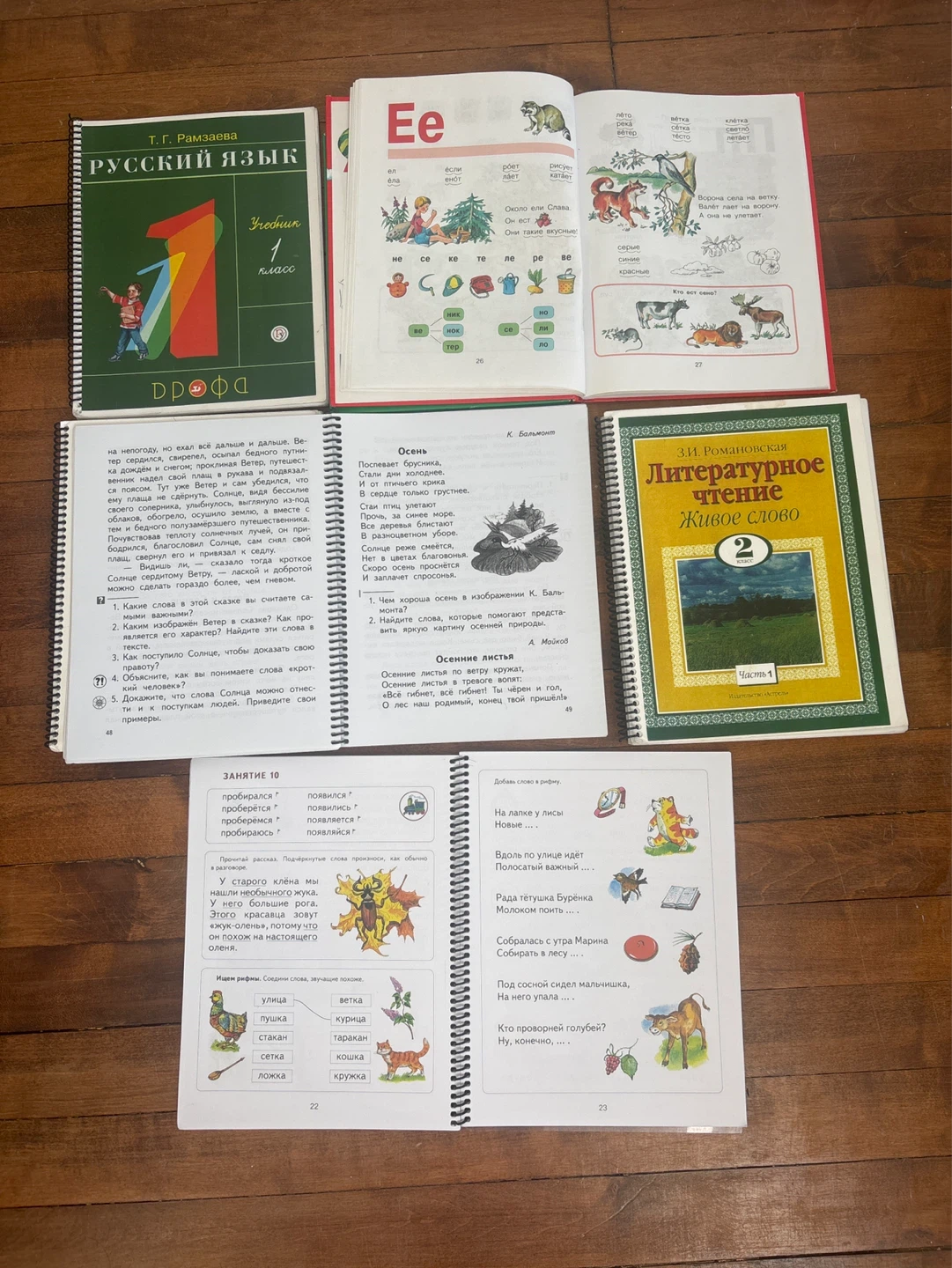 Russian Language & Literature School Books - photo 2