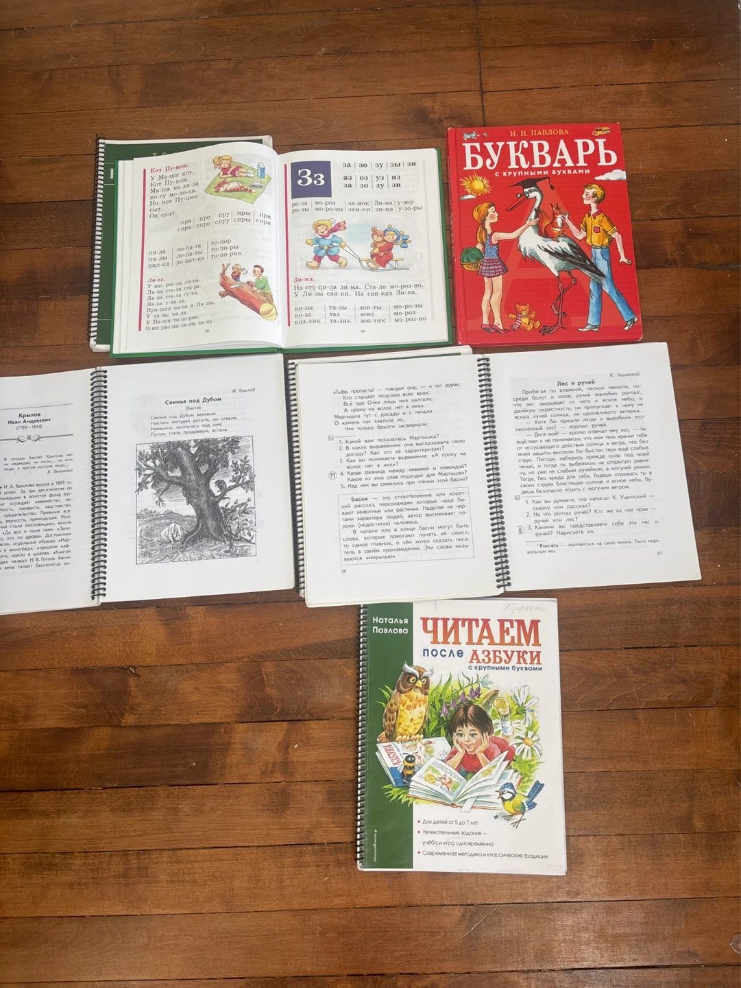 Russian Language & Literature School Books - photo 3