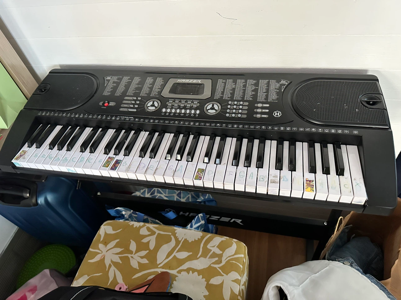 HAMZER Electronic Keyboard Piano