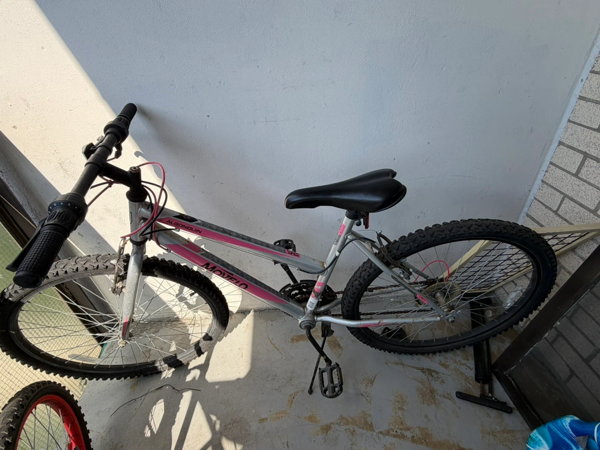 Movelo Mountain Bike