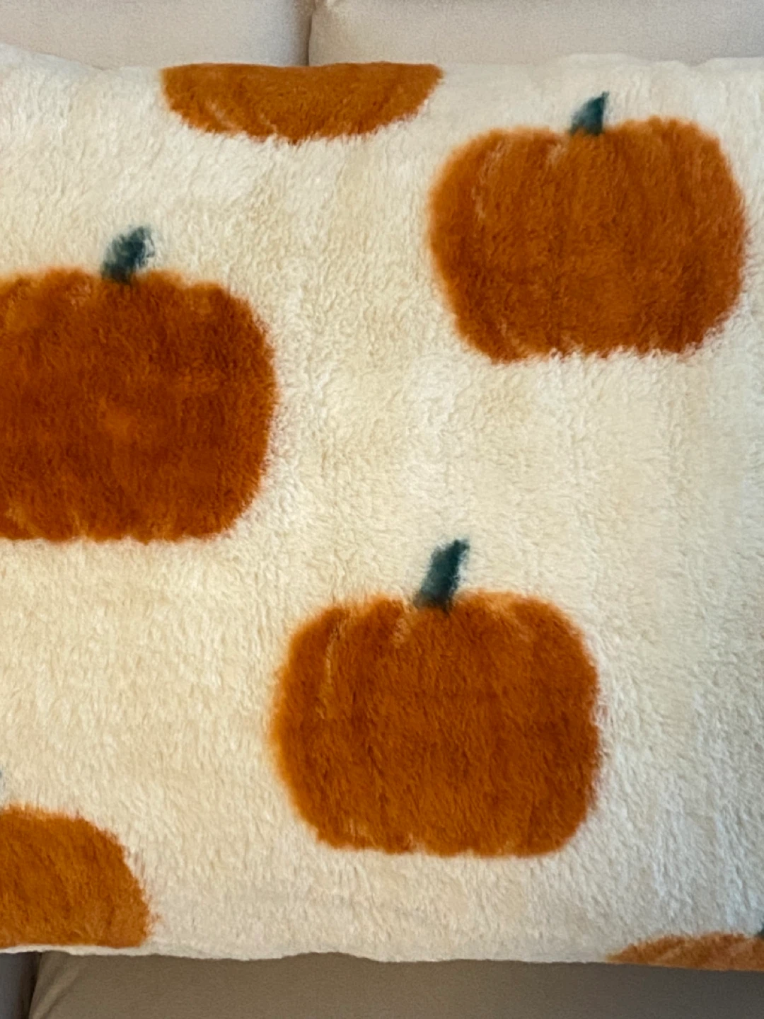 NEW! HomeSense Decorative Pumpkin Lumbar Pillow - photo 3