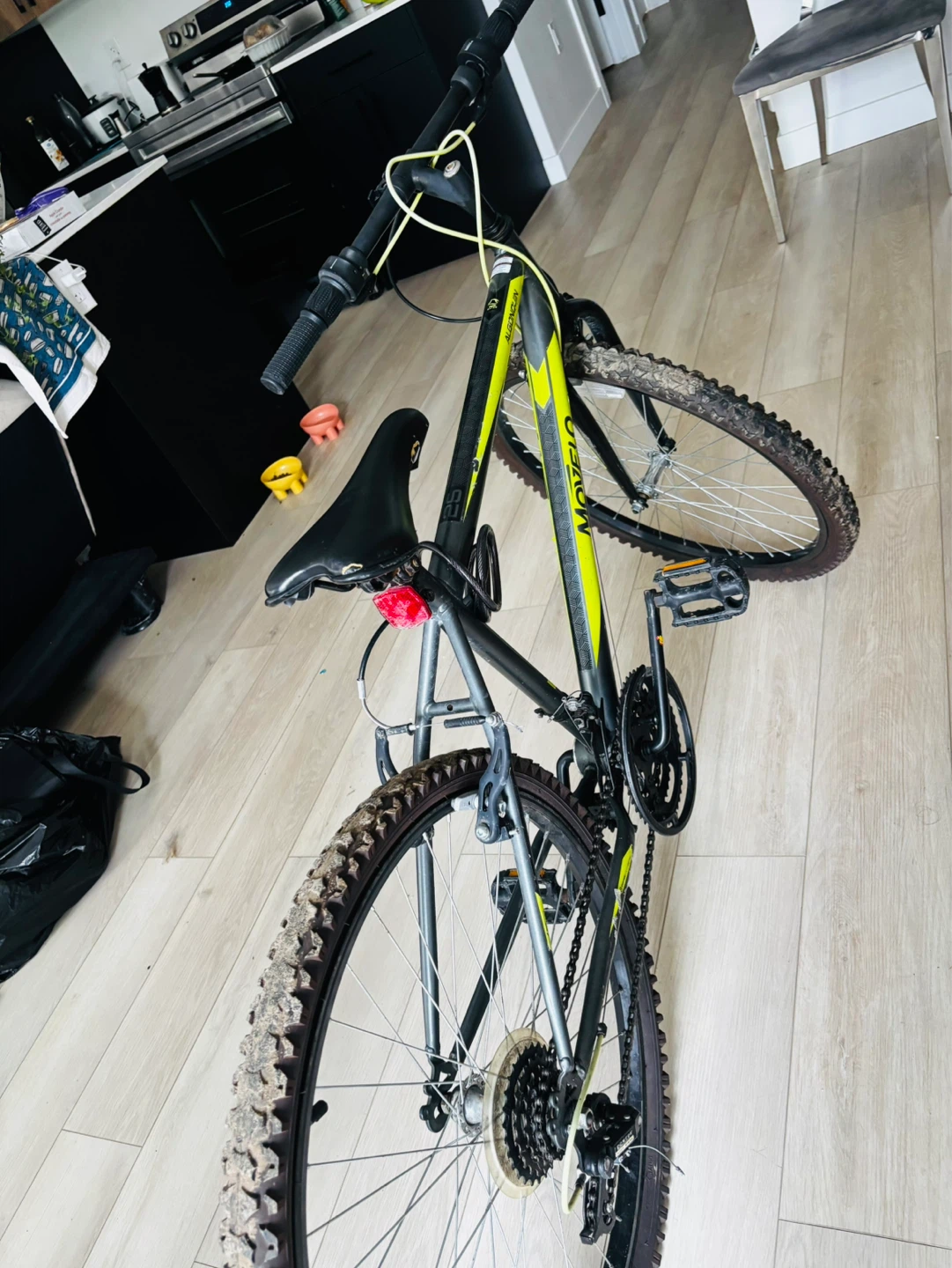 Mongoose Mountain Bike