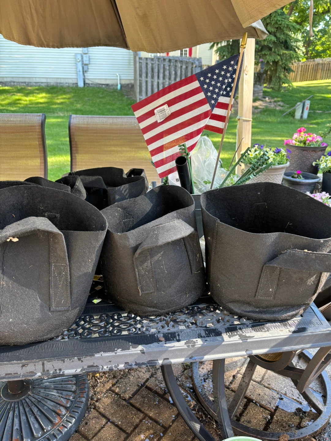 Black Fabric Grow Bags-Gardzen 10 pack