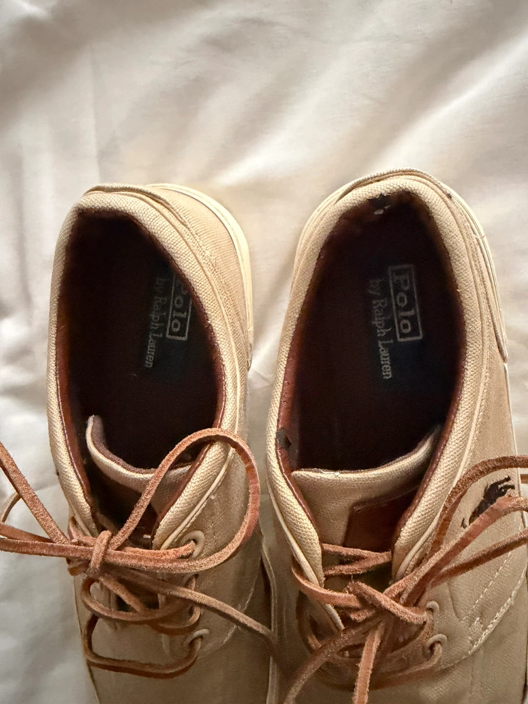 Polo Ralph Lauren Faxon Low Canvas Sneakers - photo 4
