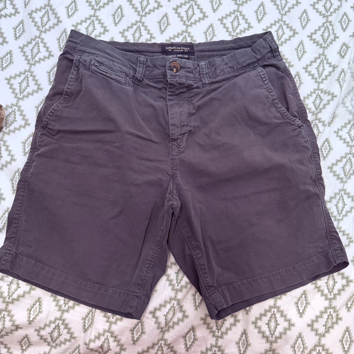 Hollister and American Eagle Men's Shorts Bundle Size 30 - photo 2