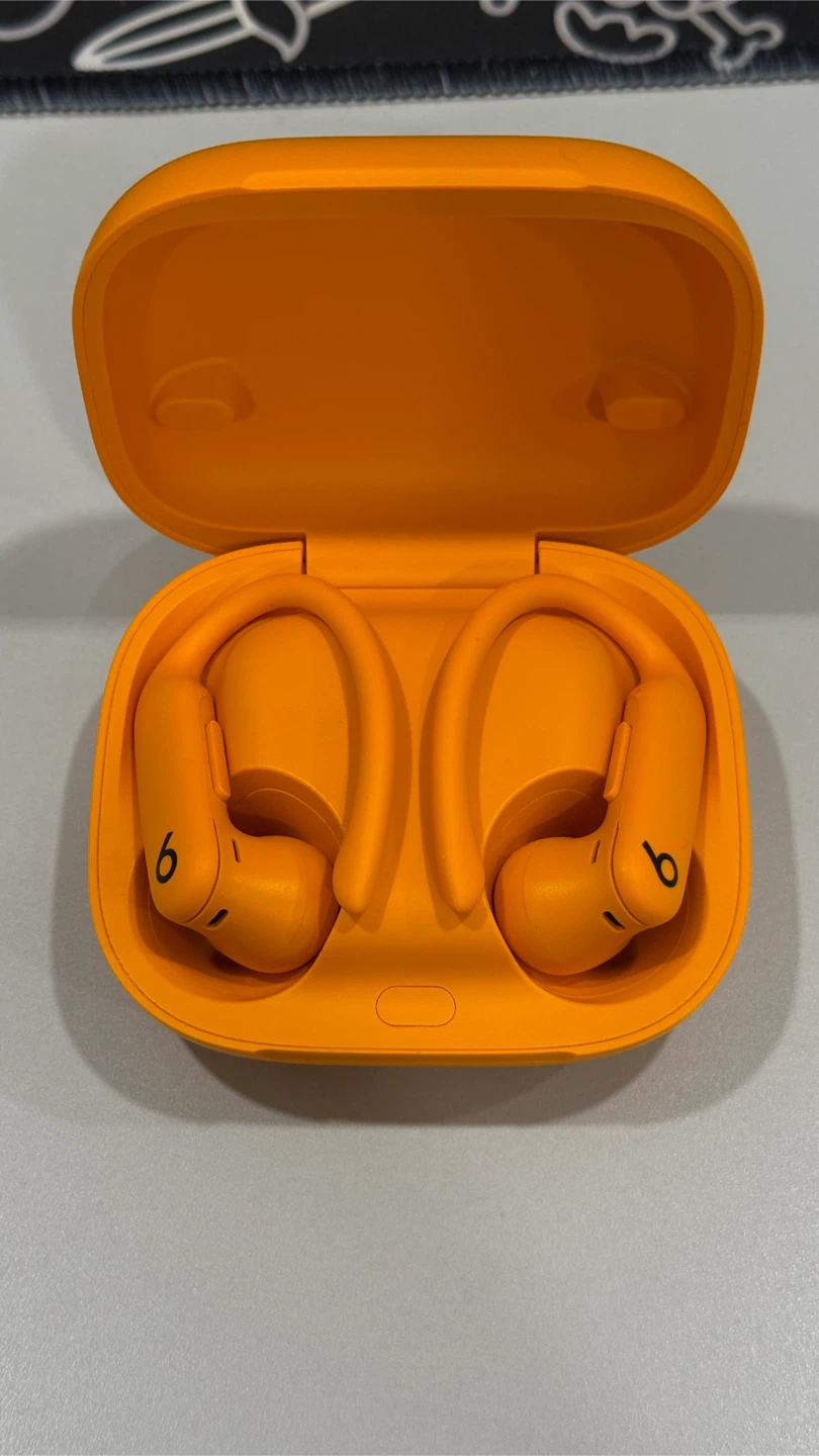 Beats Powerbeats Pro 2 Wireless Earbuds - Orange
