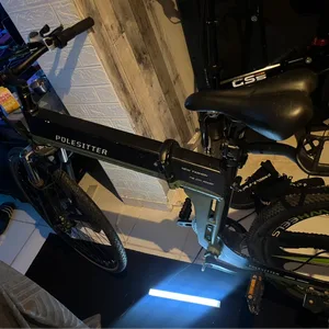 POLE SITTER Folding Electric Bike