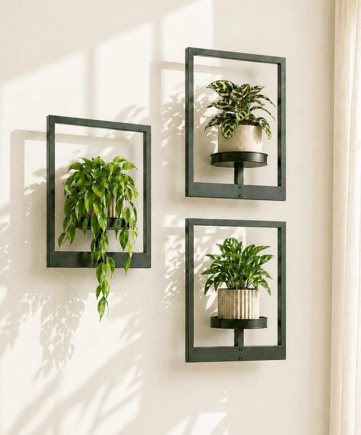 3 Pack Plant Shelf