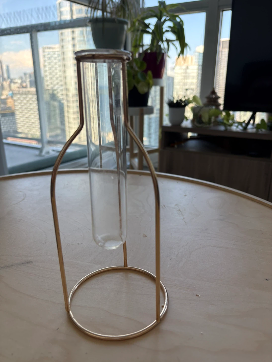 Gold Metal Frame Glass Test Tube Vase