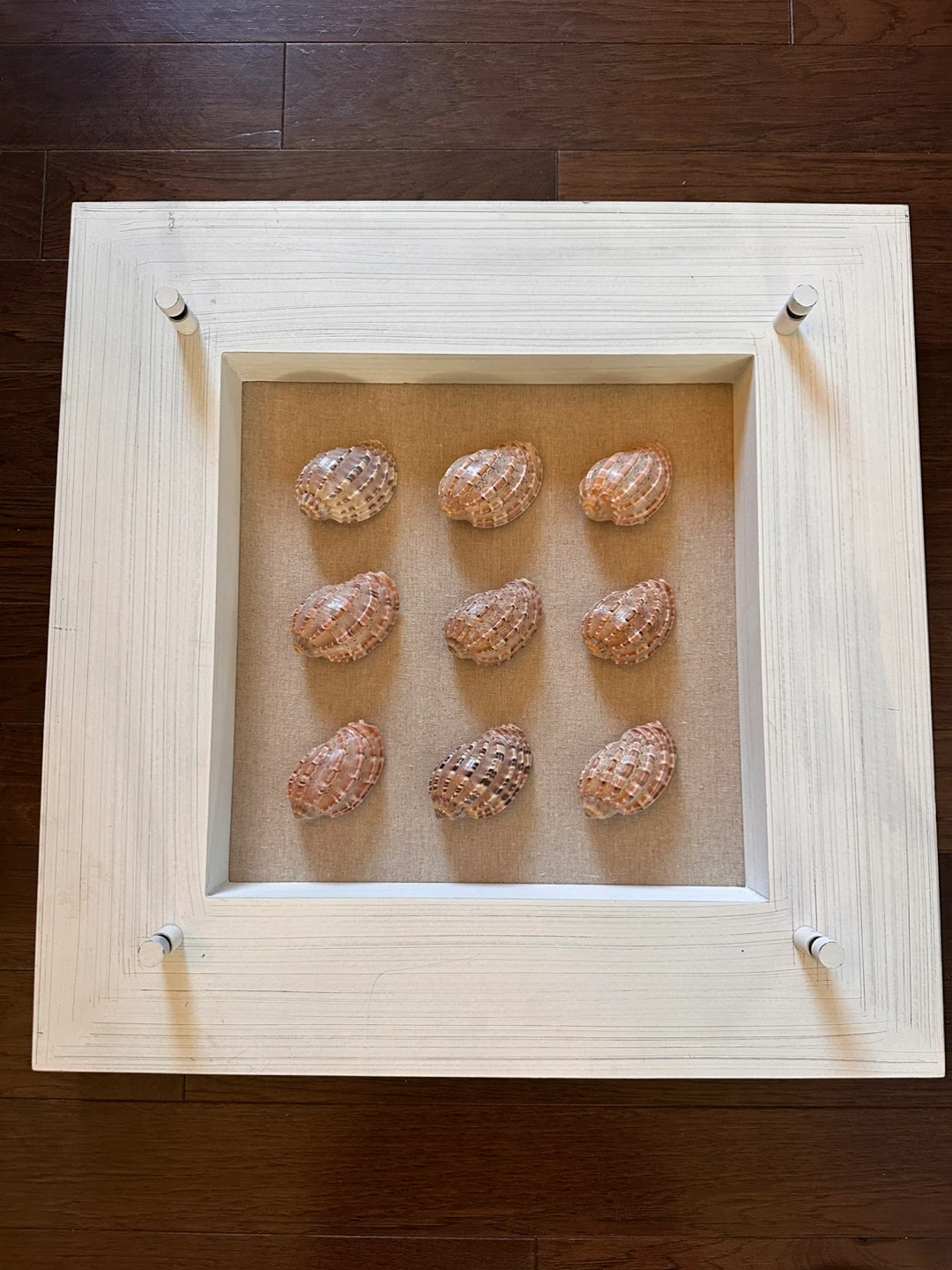 Shadow box wall art with seashells
