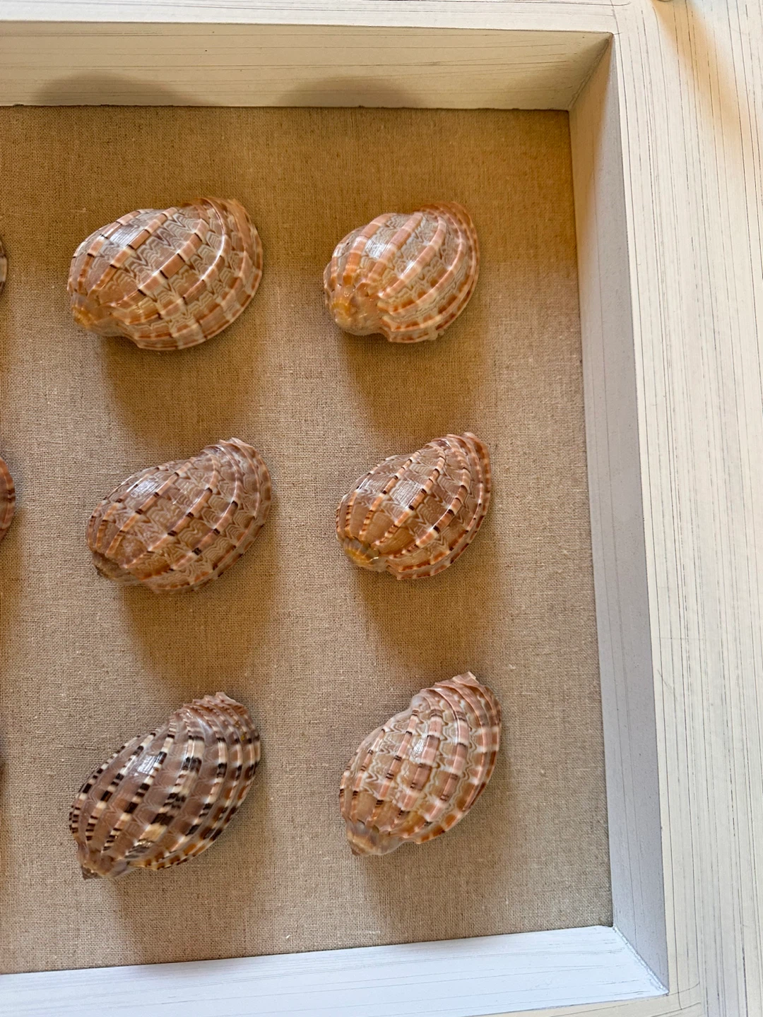 Shadow box wall art with seashells - photo 4