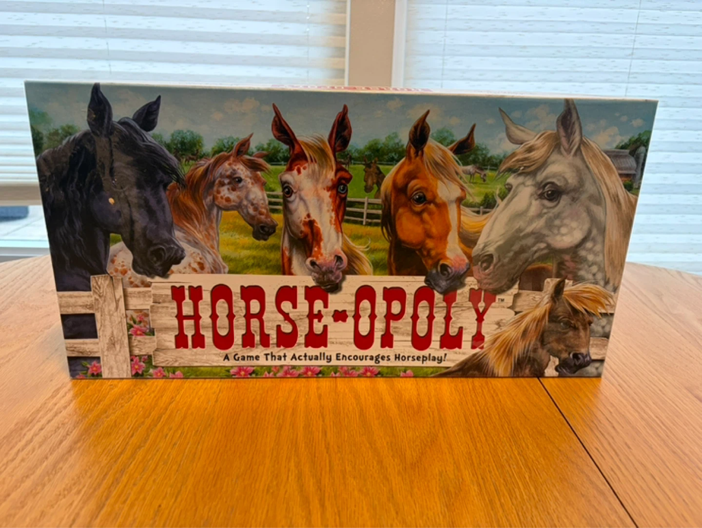 Horse-Opoly Board Game