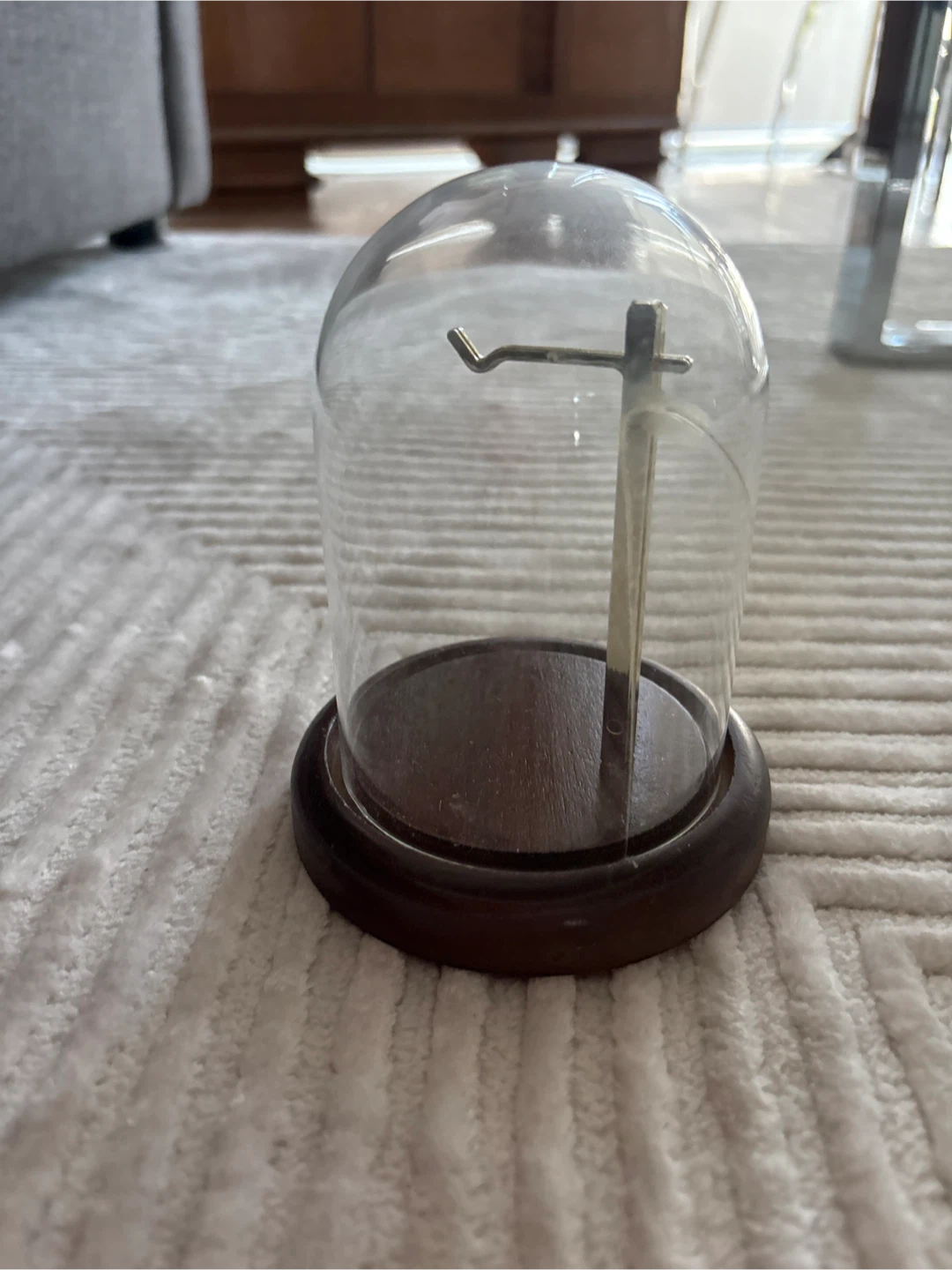 Glass Dome Display Cloche with Wooden Base and Metal Stand
