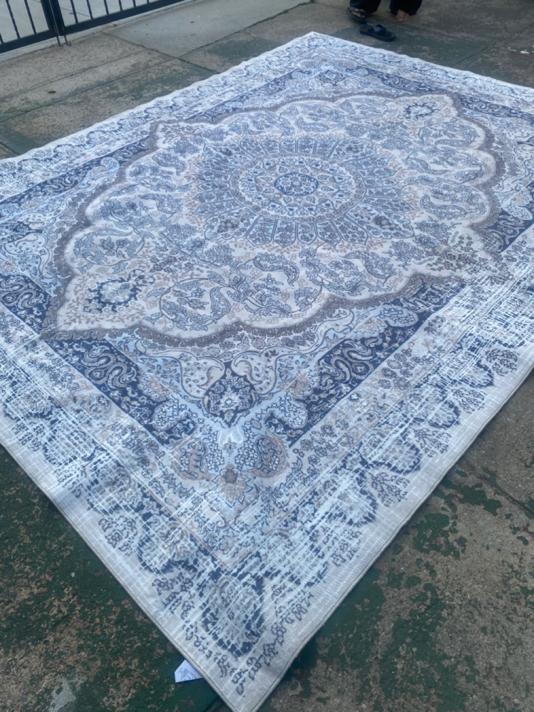 Persian Style Area Rug