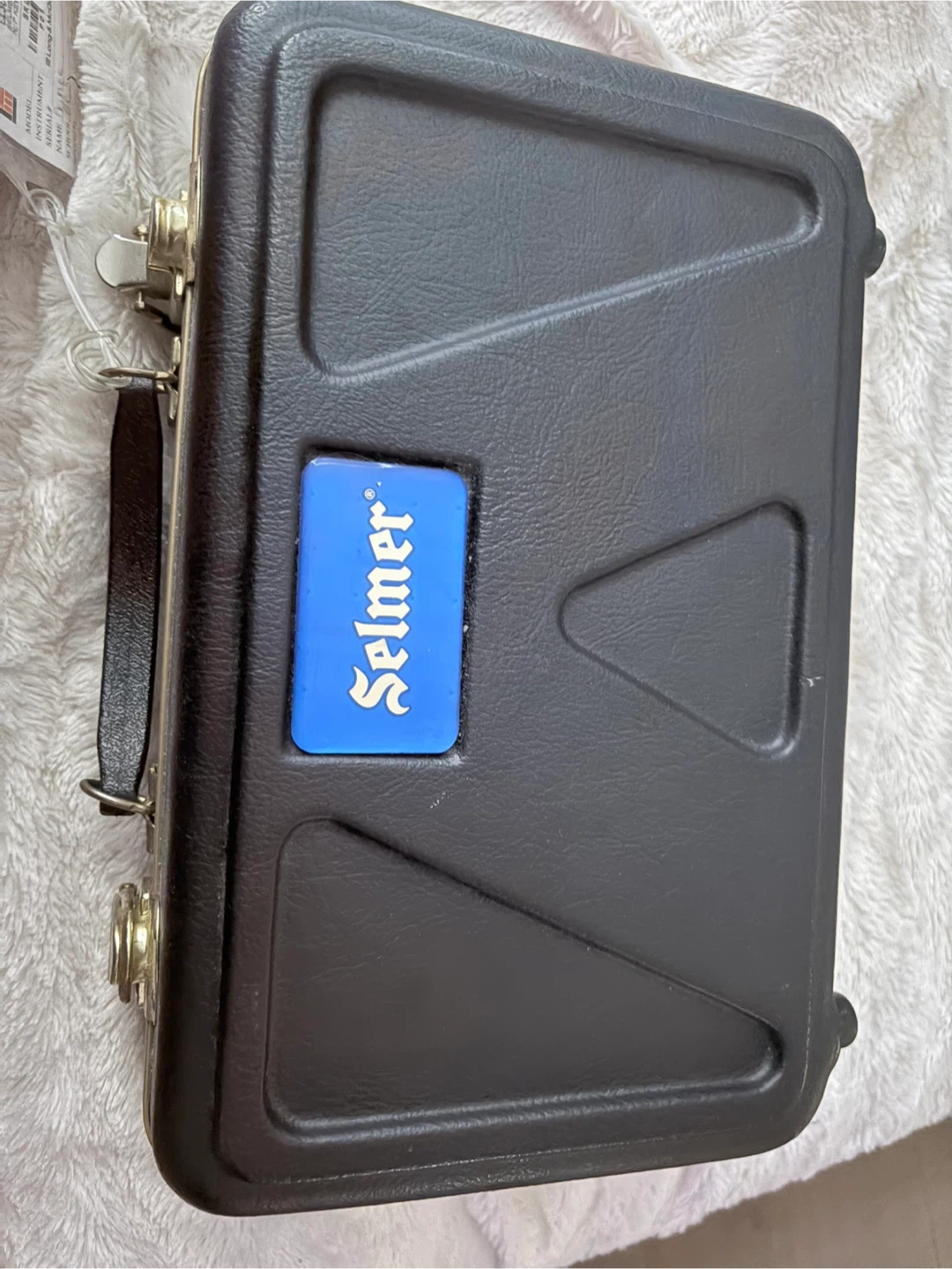 Selmer Clarinet with Case and Reeds