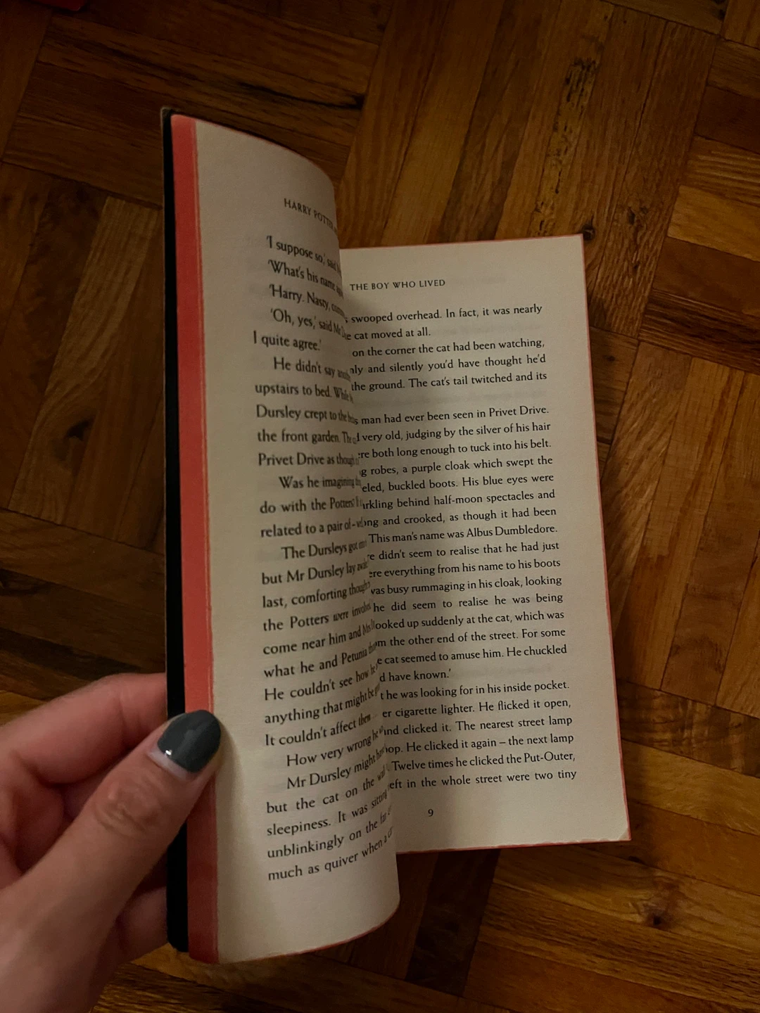 Harry Potter and the Philosopher's Stone Paperback - photo 2