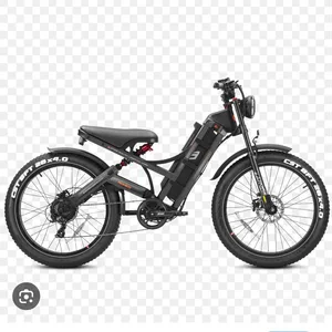 Eahora Romeo Pro Electric Fat Bike