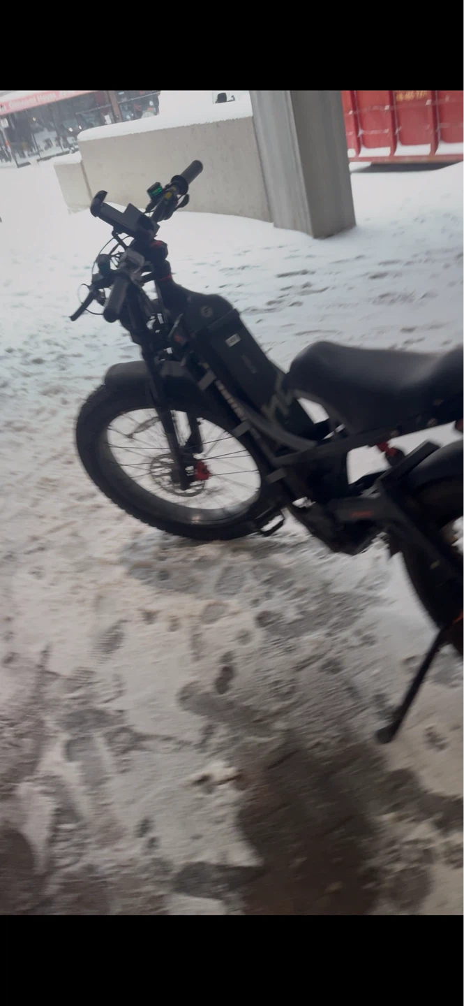 Eahora Romeo Pro Electric Fat Bike - photo 2