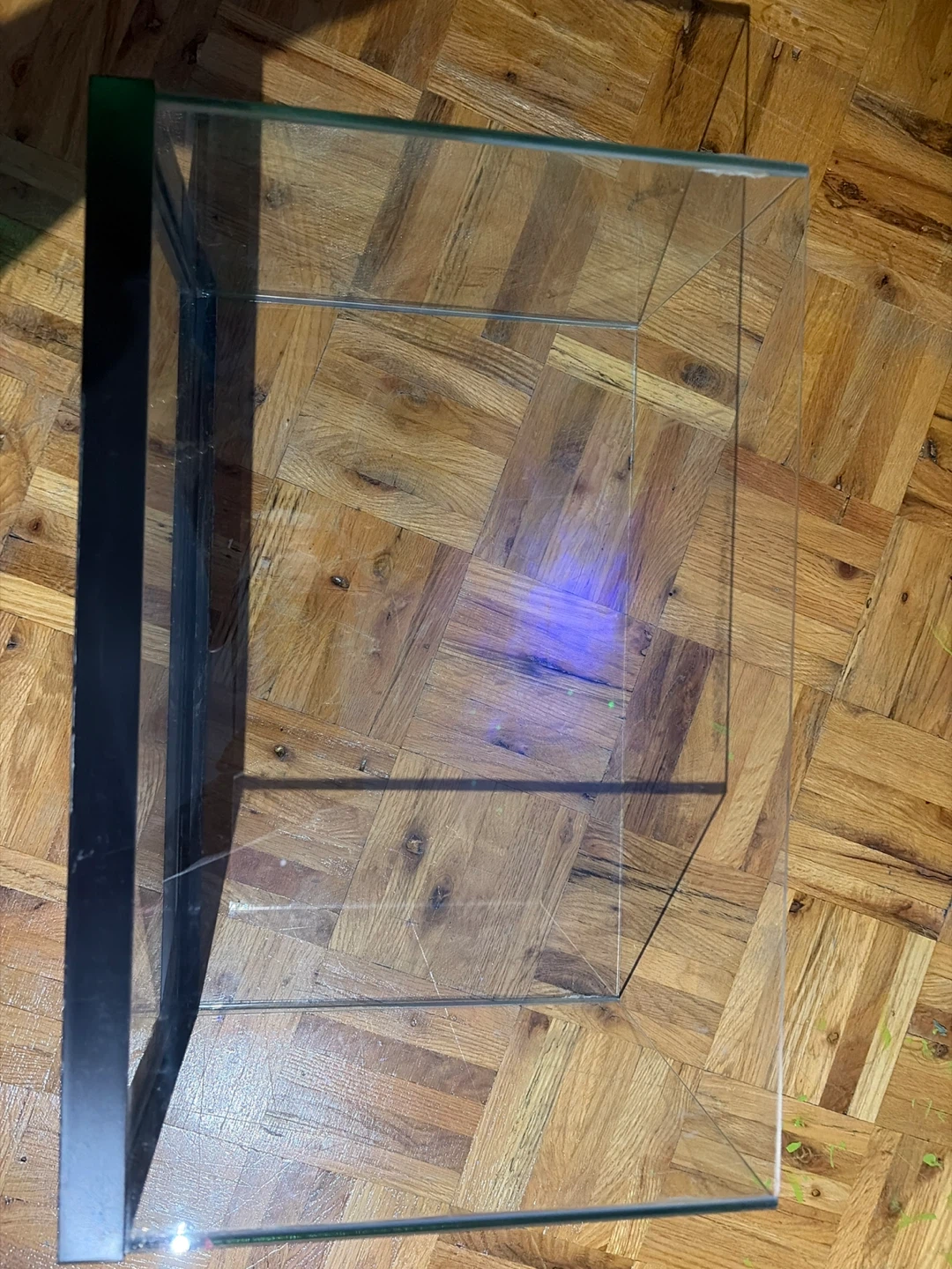 Rim-less 6 gallon fish tank - photo 3