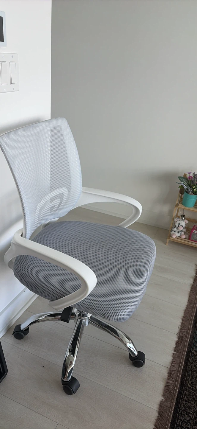 Office Chair - Mesh Back, Grey Seat
